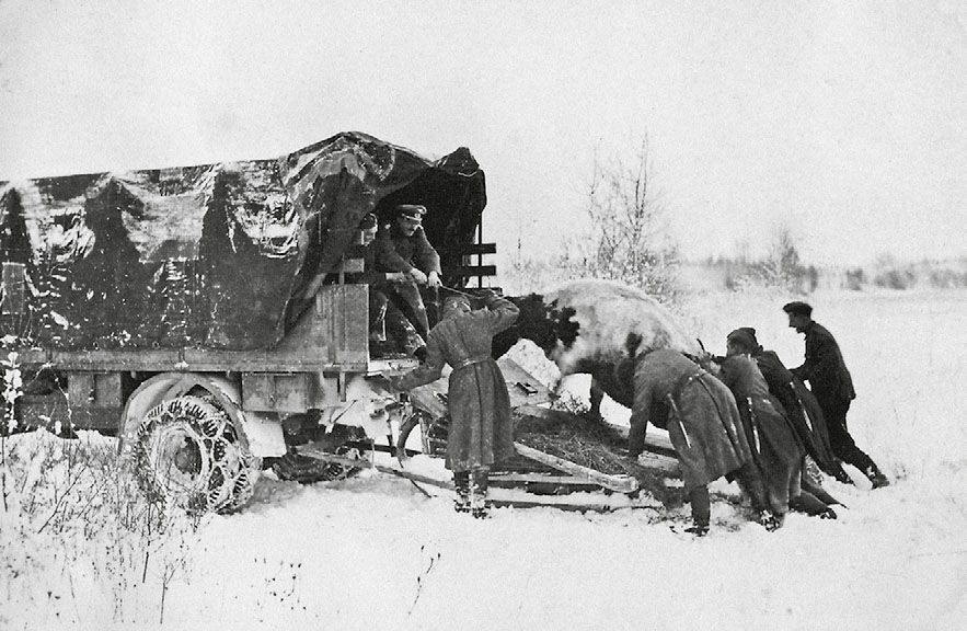 Немцы отбирают скот у населения. Белоруссия, 1943 г. 