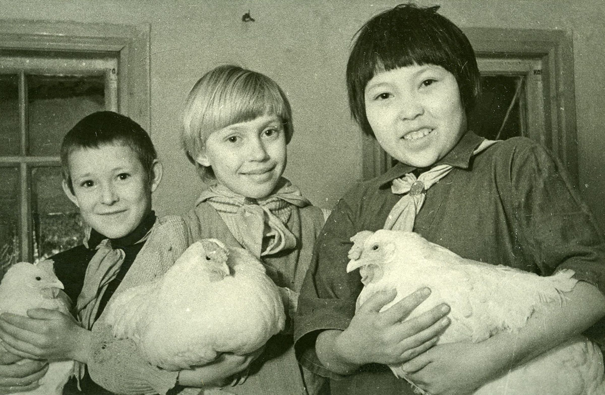 Школьники выращивают кур для Красной армии. Хакасия, декабрь 1941 г.