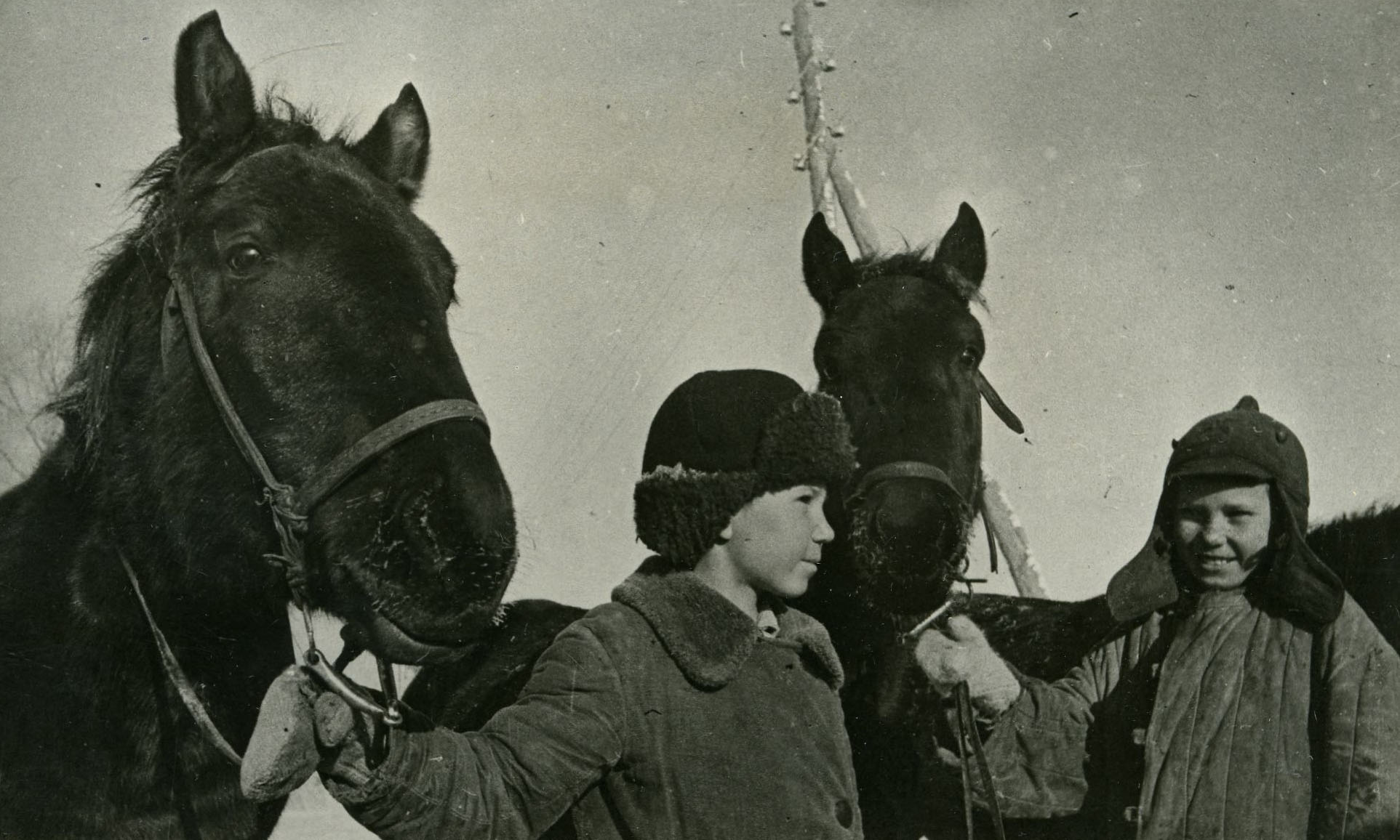 Юннаты ухаживают за молодняком в колхозе «Урняк». Январь 1942 г.